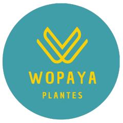 Wopaya Plantes