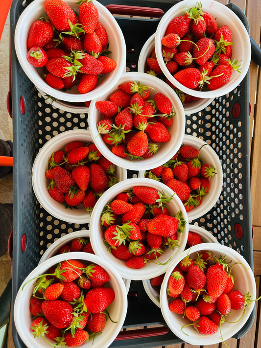 Ramène ta fraise… avant qu’elle finisse en confiture 🍓