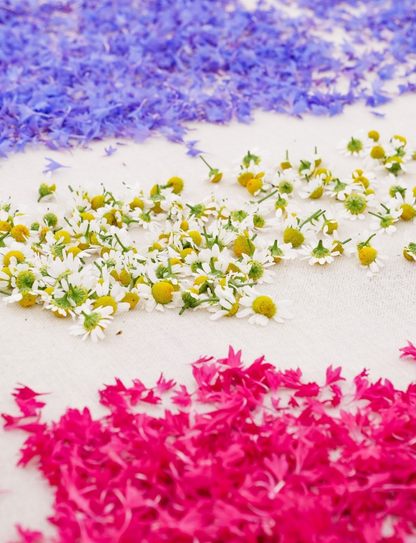 🌿 Ateliers Yoga, Nature & Sens à la ferme Wopaya - 11 avril 2026