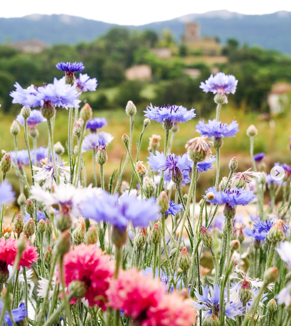 🌿 Ateliers Yoga, Nature & Sens à la ferme Wopaya - 11 avril 2026