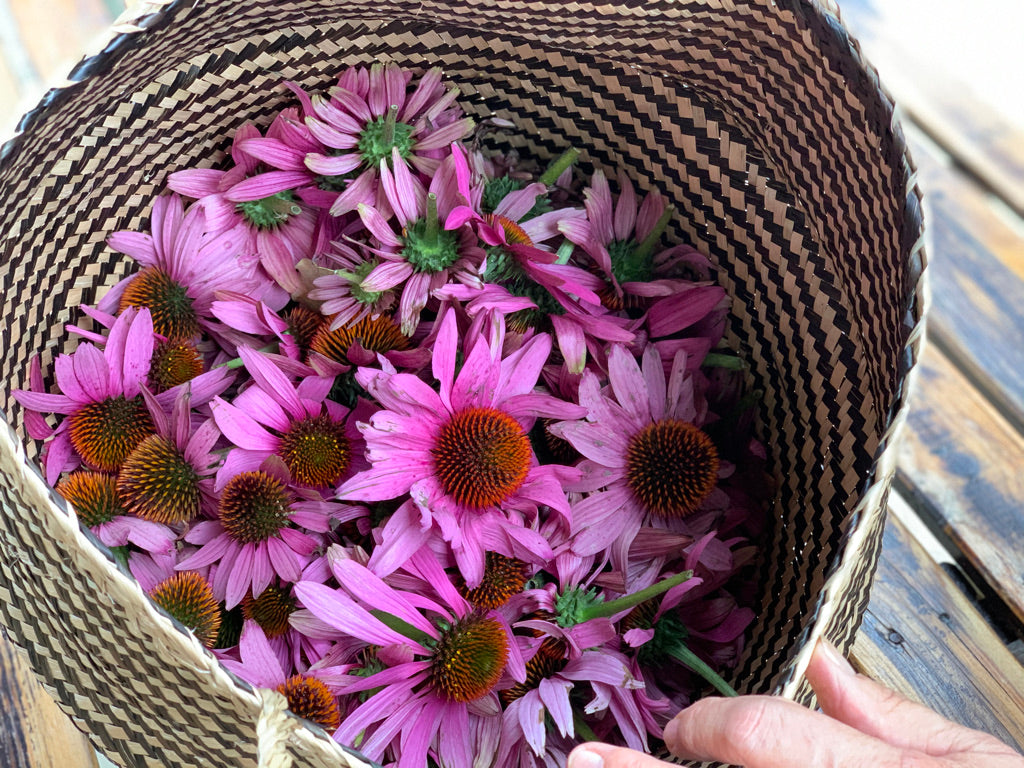 🌿 Ateliers Yoga, Nature & Sens à la ferme Wopaya - 11 avril 2026