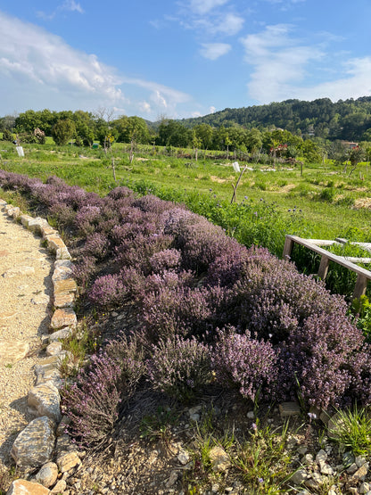 🌿 Ateliers Yoga, Nature & Sens à la ferme Wopaya - 11 avril 2026